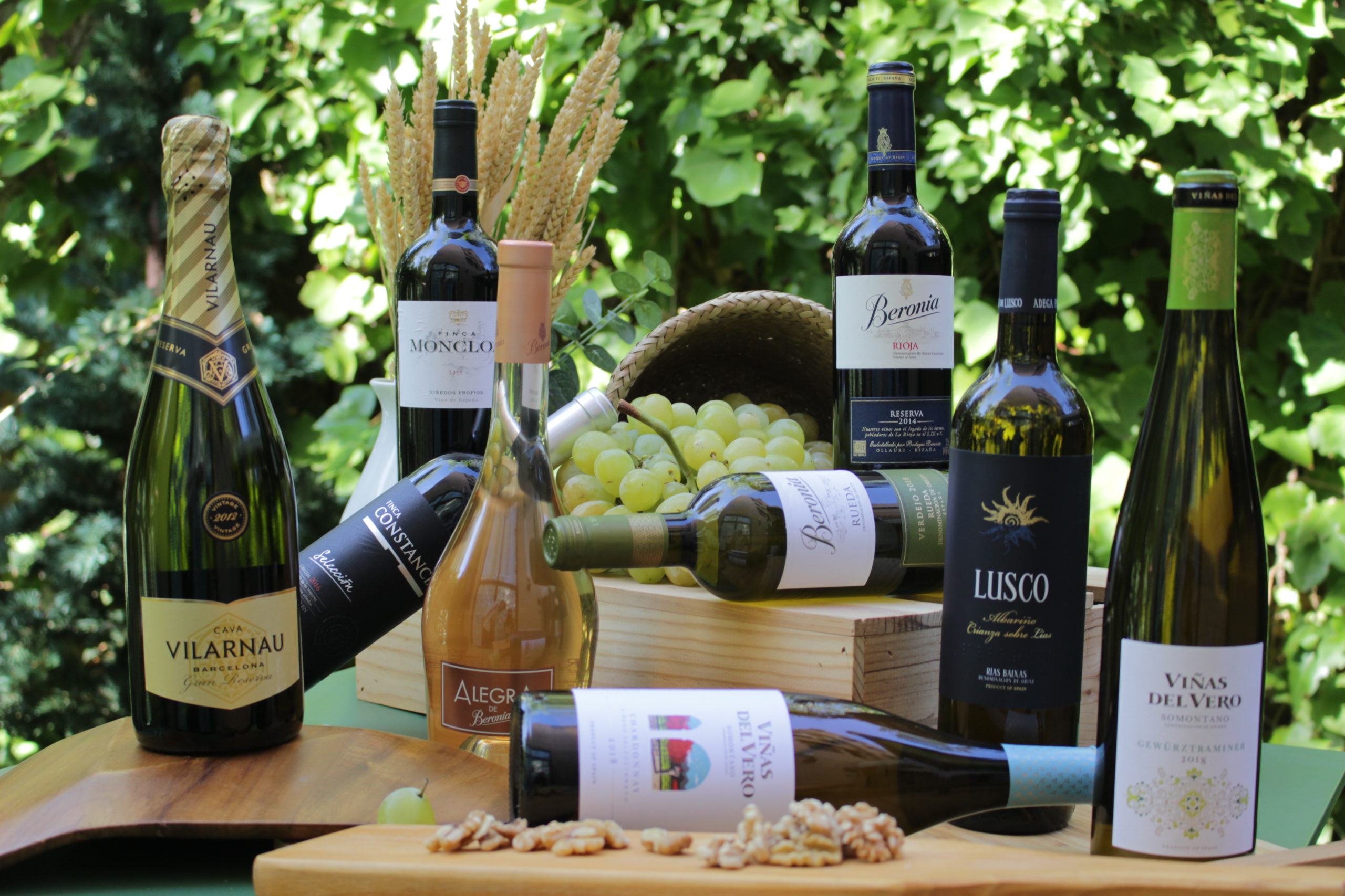 Bodegon
